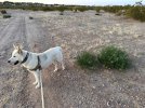 IMG_8490.jpeg