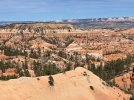 IMG_4834.jpeg