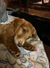 IMG_0046.jpeg
