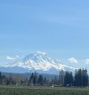 IMG_0247.jpeg