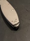 IMG_8295.jpeg