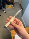 IMG_4691.jpeg