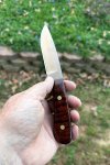 IMG_9031.jpeg