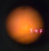 20260407_190459.jpg
