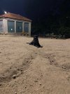 IMG_1926.jpeg
