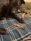 IMG_1931.jpeg