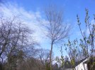 DSCF3003.JPG