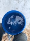 IMG_6988.jpeg