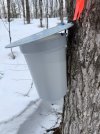 IMG_6991.jpeg