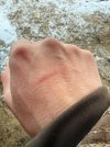 IMG_7021.jpeg
