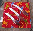 2026-03-29 Sawcut Sunday Case Cripple Creek Queen Drake.JPG