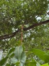 IMG_4554.jpeg