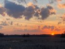 IMG_9660.jpeg