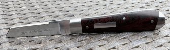 IMG_8667.jpeg