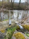 IMG_0270.jpeg