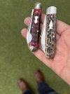 IMG_2303.jpeg