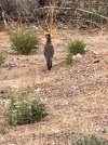 IMG_8577.jpeg