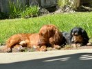 IMG_3612.jpeg