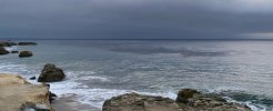 IMG_8739.jpeg