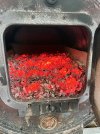 IMG_7091.jpeg