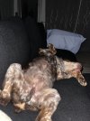 IMG_7032.jpeg