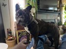 IMG_0300.jpeg
