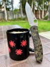 IMG_8886.jpeg
