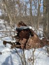 IMG_3164.jpeg