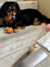 IMG_8908.jpeg