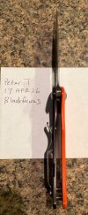 IMG_2214.jpeg