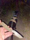 IMG_1985.jpeg