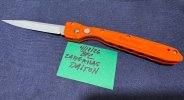 IMG_8381.jpeg