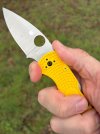 IMG_2726.jpeg