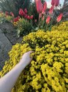IMG_8429.jpeg