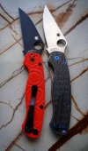 rex121 pair.jpg