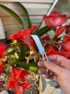 IMG_8267.jpeg