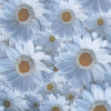 1776735022440.png