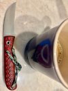 IMG_2835.jpeg