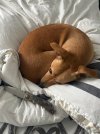 IMG_2046.jpeg