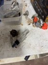 IMG_3335.jpeg