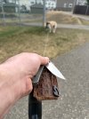 IMG_0283.jpeg