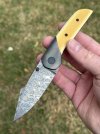 IMG_8295.jpeg