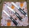 2026-04-22 WW Case Ebony TB EJ GEC44 Jack Wolf Cigar.JPG