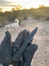 IMG_8645.jpeg