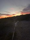 IMG_8652.jpeg