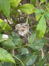 IMG_3365.jpeg