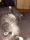 IMG_0201.jpeg