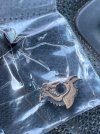 IMG_2319.jpeg