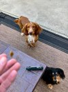 IMG_9111.jpeg
