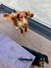 IMG_9110.jpeg
